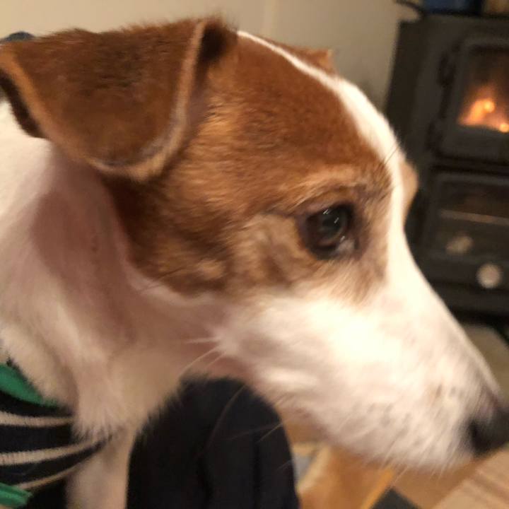 A3b36bdd 763f 4a88 b79b 3841dca9dac6 1739700066937