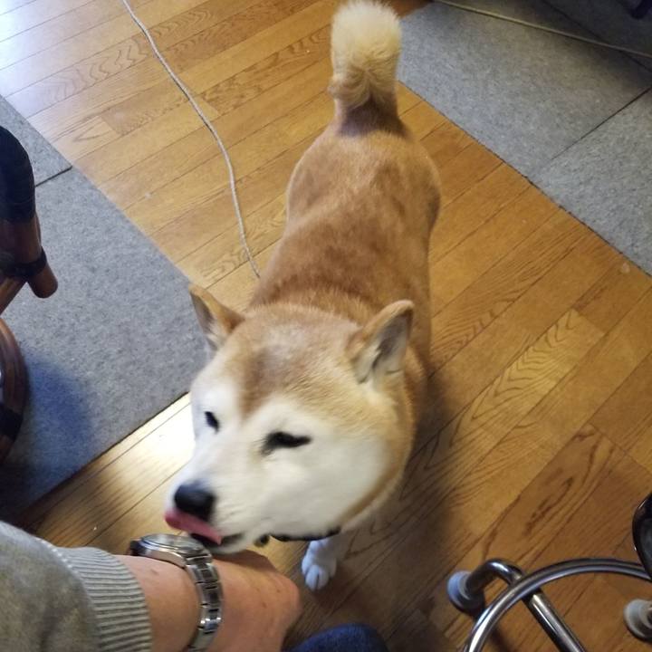 A3b36dc2 0e4d 4bf1 ac7e e17a3093337a 1709765137331