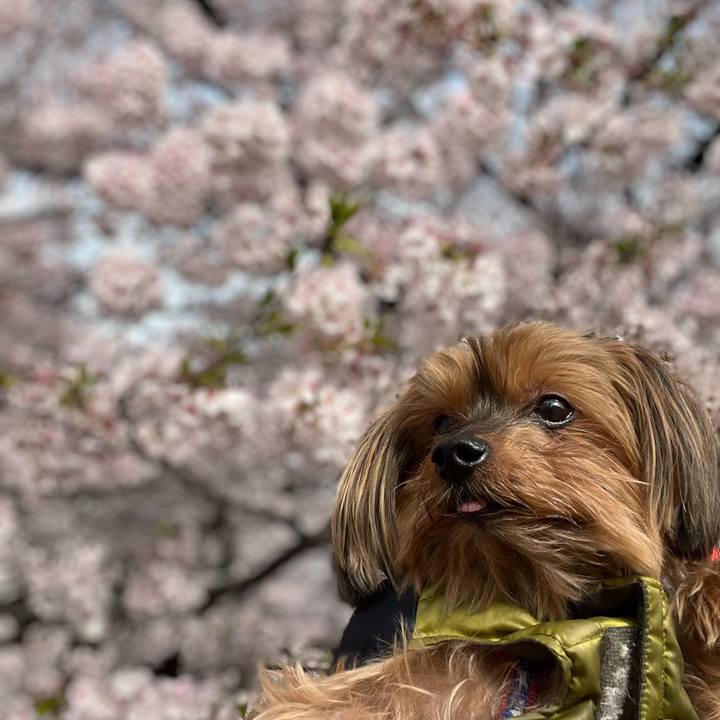 A3b37266 038d 48c3 b706 8775828da58a 1648599023752