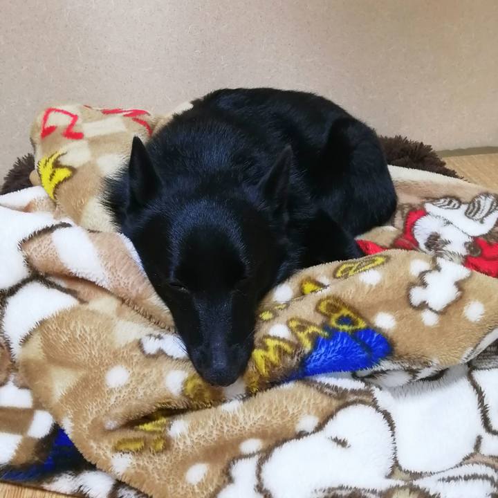 A3b37688 1bd9 41df 8317 ee0976e8513b 1607170009418