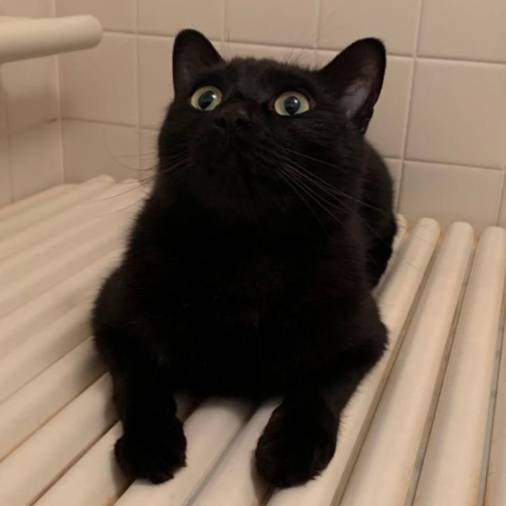 A3b3a385 3960 4a85 a0dd 5f03e57010bf 1618750362912