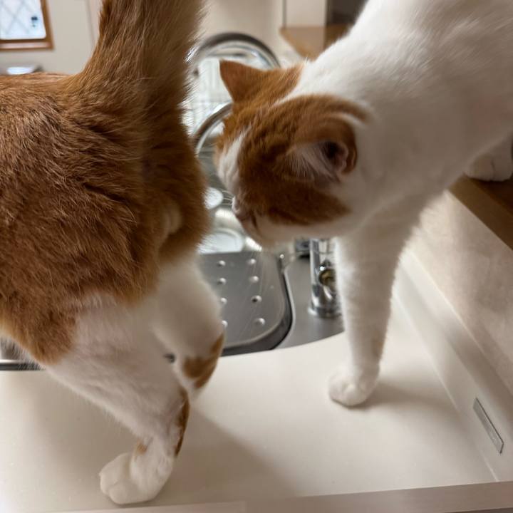 A3b3b08e 2837 4c8a 8215 5bc0fbffd4a0 1763432493861