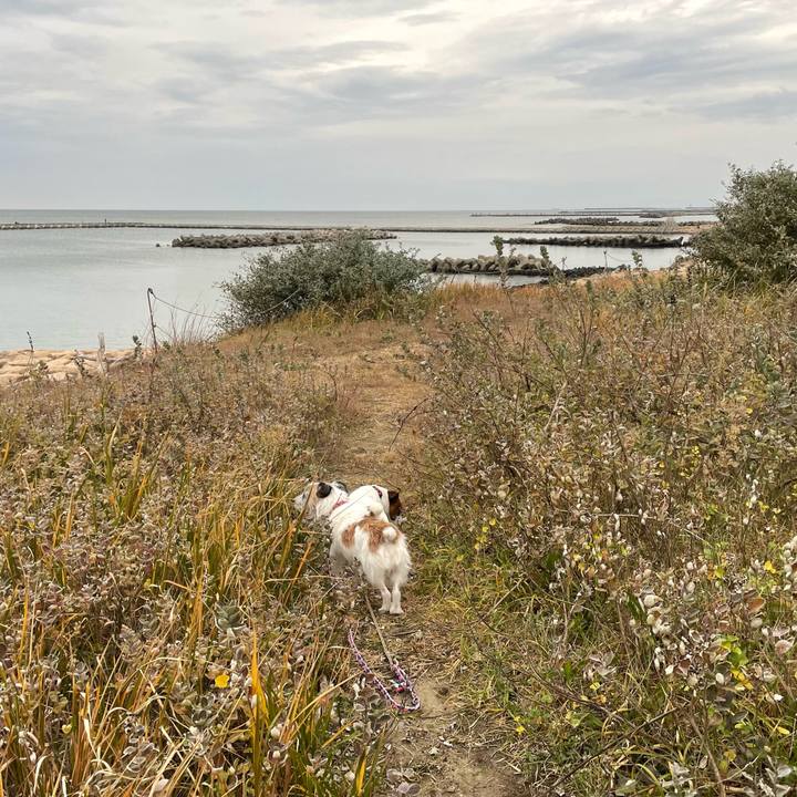 A3b3b489 6914 4ce4 9fac b42df9887587 1762646347682