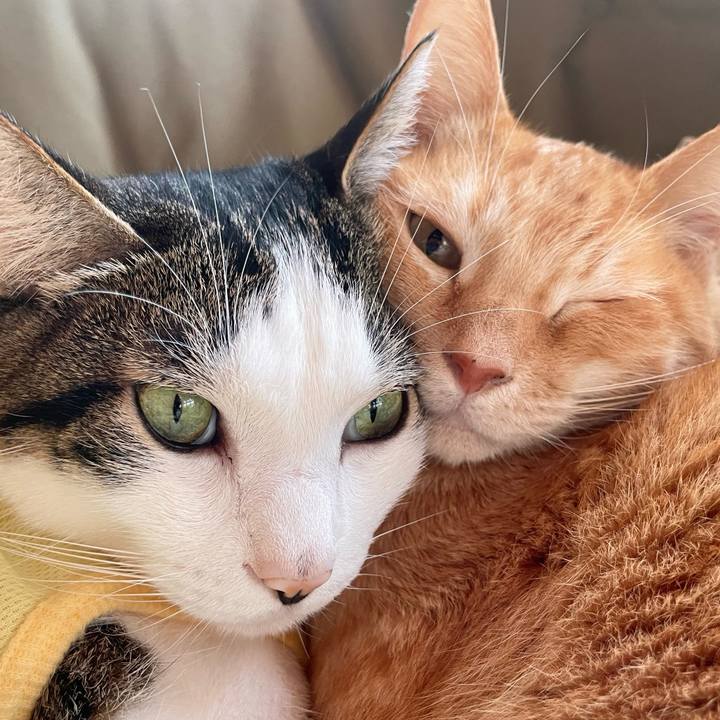 A3b3d5c2 dcc6 451c b7e5 574026c5d77b 1774738236418