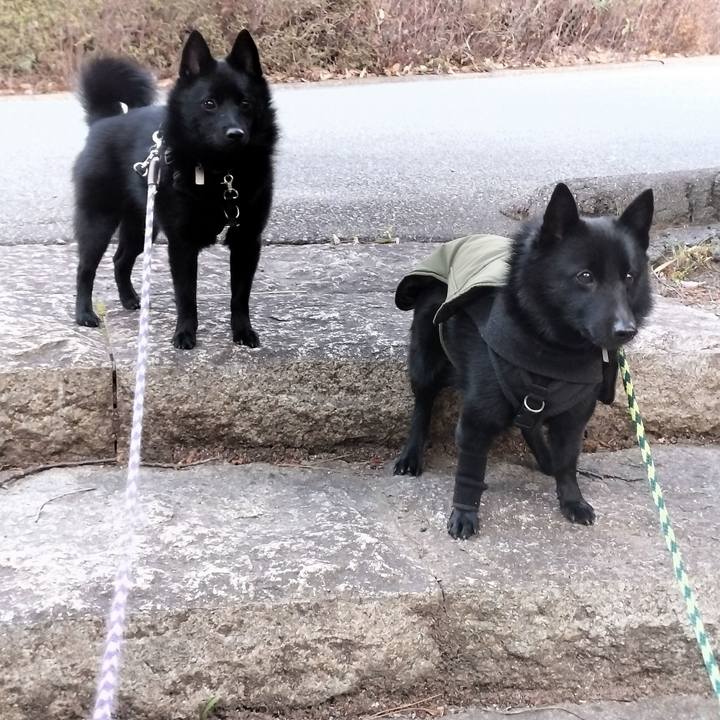 A3b3ef08 73e6 4f0d a8b1 f49fb989af97 1769211957731