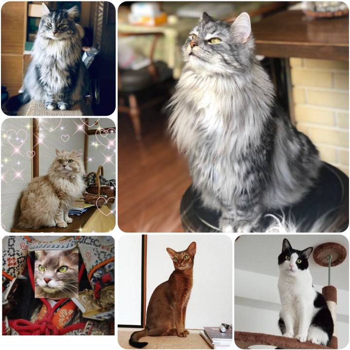 A3b3f9fd 856e 41ca 8704 d4ba1195a118 1557104510554