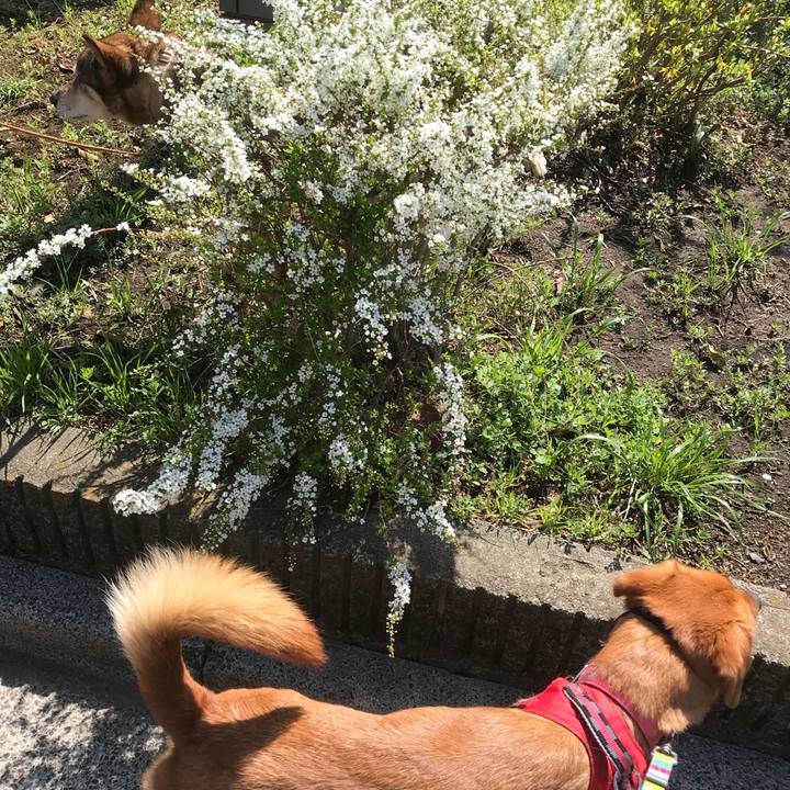 A3b40481 58f1 4cea 9be2 a099a7e57fc1 1521947388277