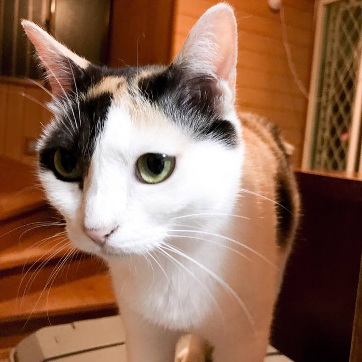 A3b42d9b c155 4058 935f bcf4f15cbc23 1532011233752