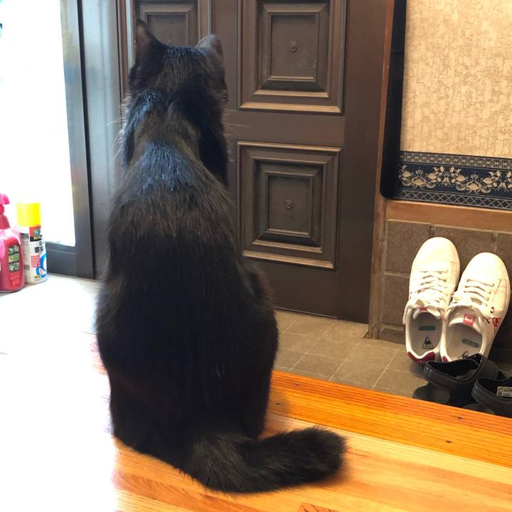 A3b4aa00 e7ca 4cda ac7c 01143502e819 1664336483187