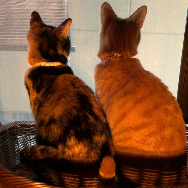 A3b4ce09 f553 4791 9be3 09ff75b85297 1610889460617