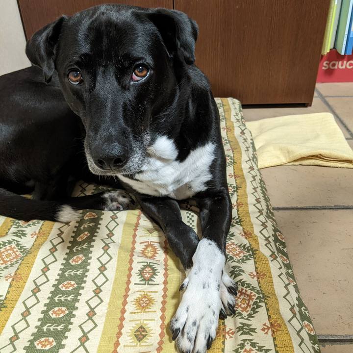 A3b4d1d2 71b8 49e4 9154 3af945f721e1 1656632437635