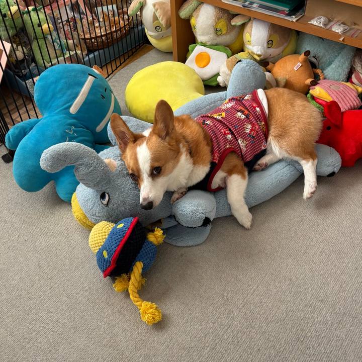 A3b53119 349a 4b01 952c cbbfd0c250d1 1763187480345