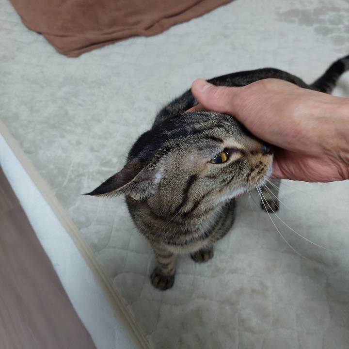 A3b535a7 f74e 4efb b6db 88f8c53de77d 1643924649189