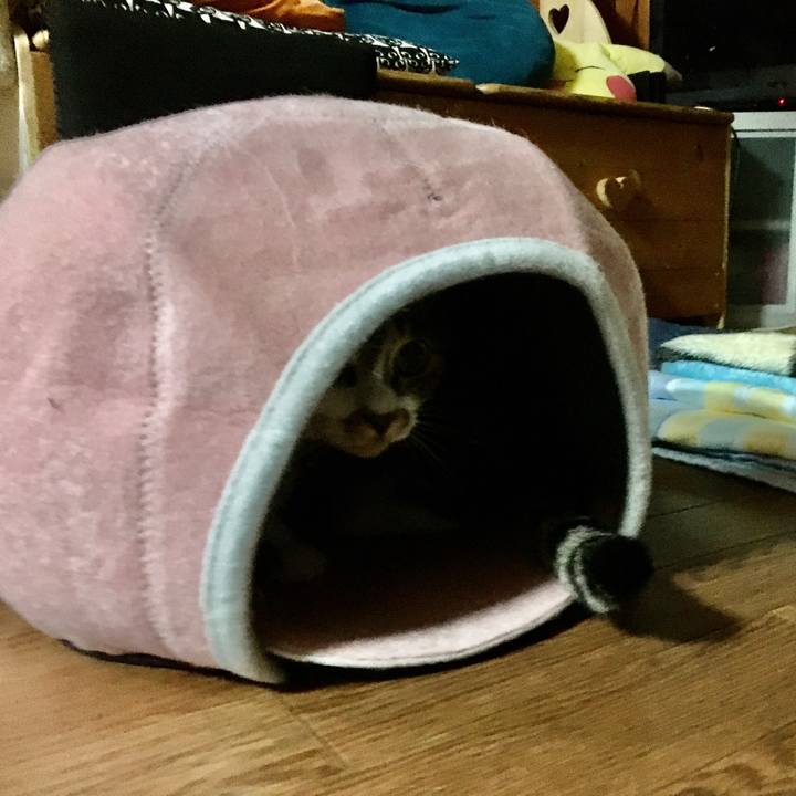 A3b536e1 9980 4134 a5e7 f023a368e92d 1595862986408