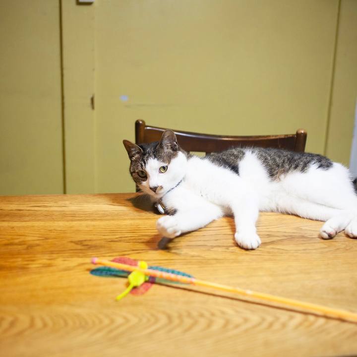 A3b54ab3 ae77 46c2 8471 013f0bd0bd63 1594568133633