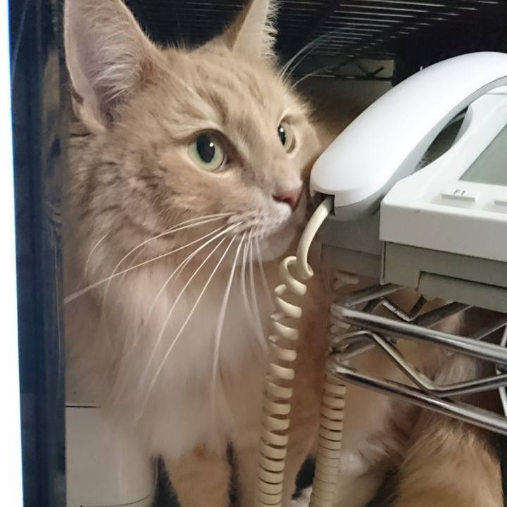 A3b55dfe 2ee0 407d ae8a f48ea1386313 1509326685046