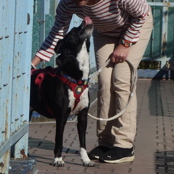 A3b5bcef e043 468b b86f a154a2711bf6 1682989530080