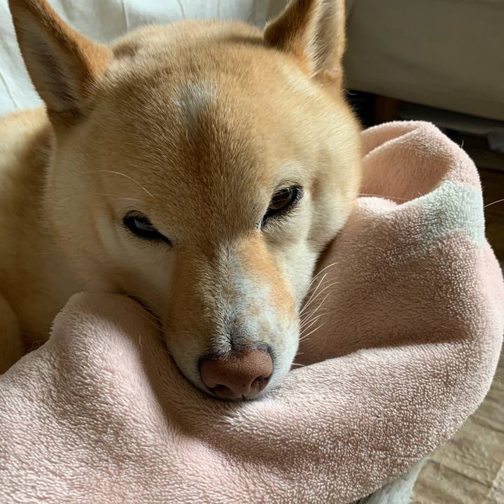 A3b5ce75 67a4 4dde b42b 60925a7e6df5 1655264740926