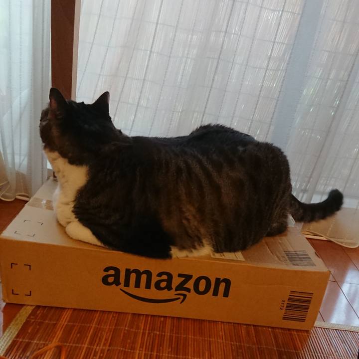 A3b606c0 d59e 442c acc9 78f5a7f8de86 1567555124290