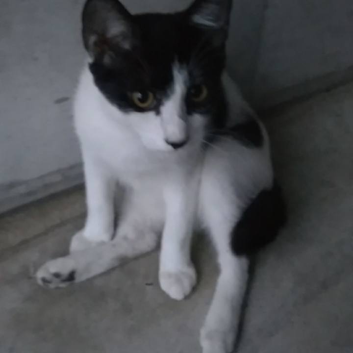 A3b60ff6 0e1a 4059 969d f83116c284c0 1537004639454