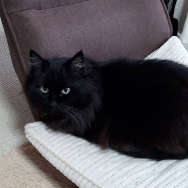 A3b64eb7 b530 4d6d 8e6b f47011b5bb7d 1523945272990