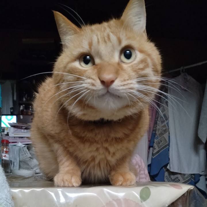 A3b6644a ccda 4f18 8e20 6568e5a6a60f 1706392749696