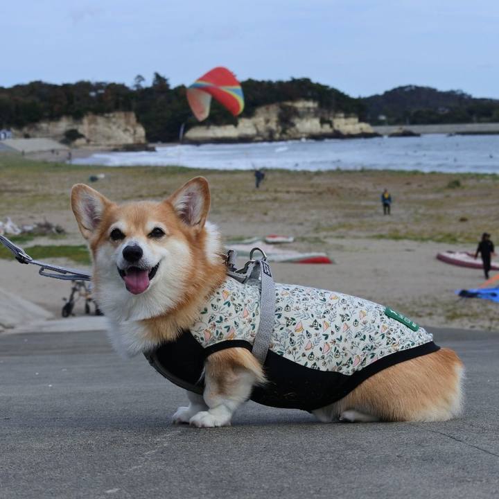 A3b67297 ede6 406d 94e1 789e506e87b7 1762168101601