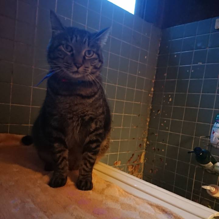 A3b6b75b a32f 4a5f 87d3 eaddfa7af021 1659606837630