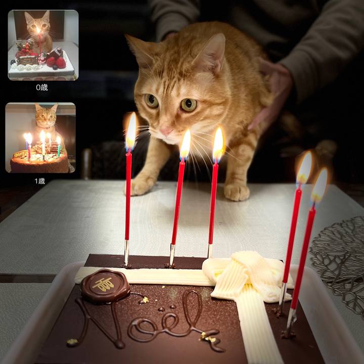 A3b6c81a c54f 4a78 946c 73886c2e9262 1640389834834