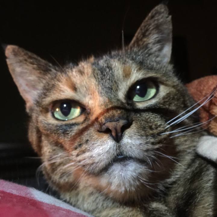 A3b6f61a abbb 4d6f 97a9 e1fed341fc4f 1520596011883