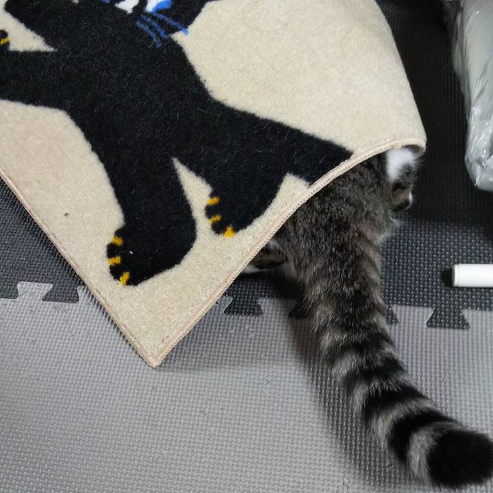 A3b6fe5e c3c1 4b7d aa6f e0a2a5b13aeb 1621037263165