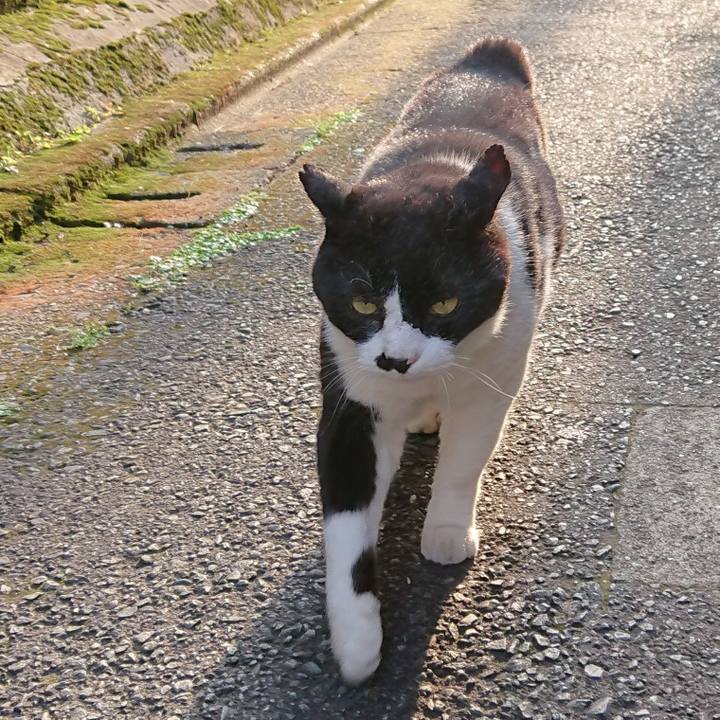 A3b718a2 13cd 43c3 af2a a459b24c8f31 1622449320790