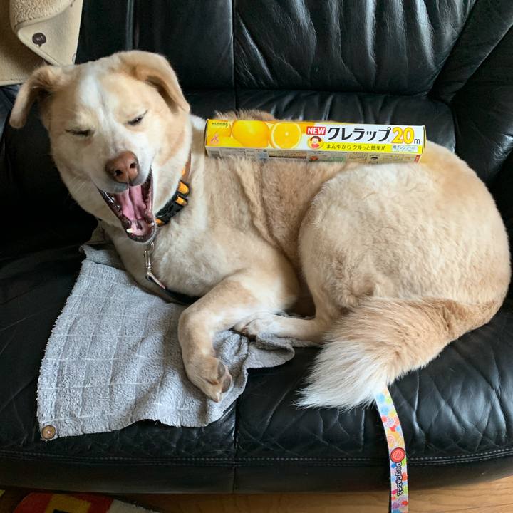 A3b73bef 9498 440a a75a 749d91f13445 1585120444468