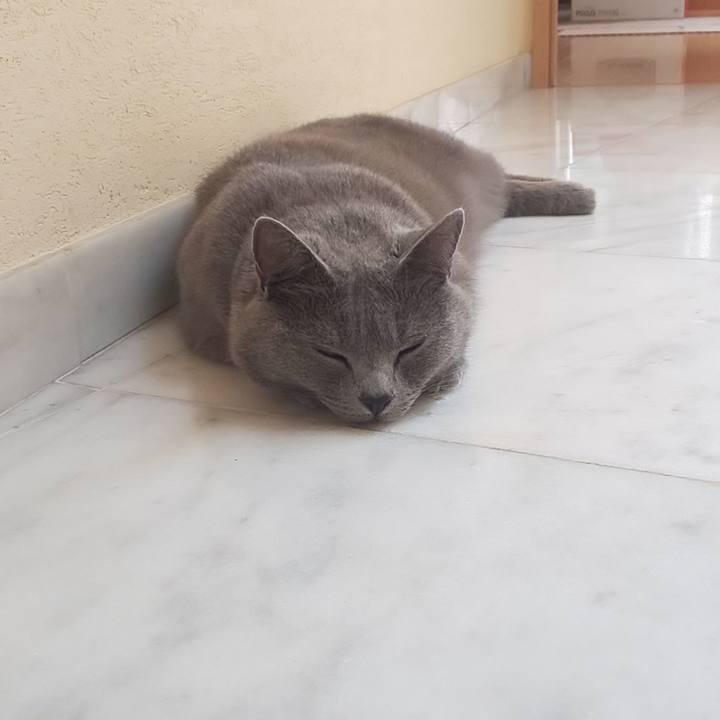 A3b74c9a 1df7 44b8 b081 2bcfb0099a0b 1564369412115