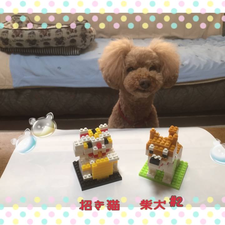 A3b7dbbd ca51 4b40 b5cd e8b606046a7f 1539069027999