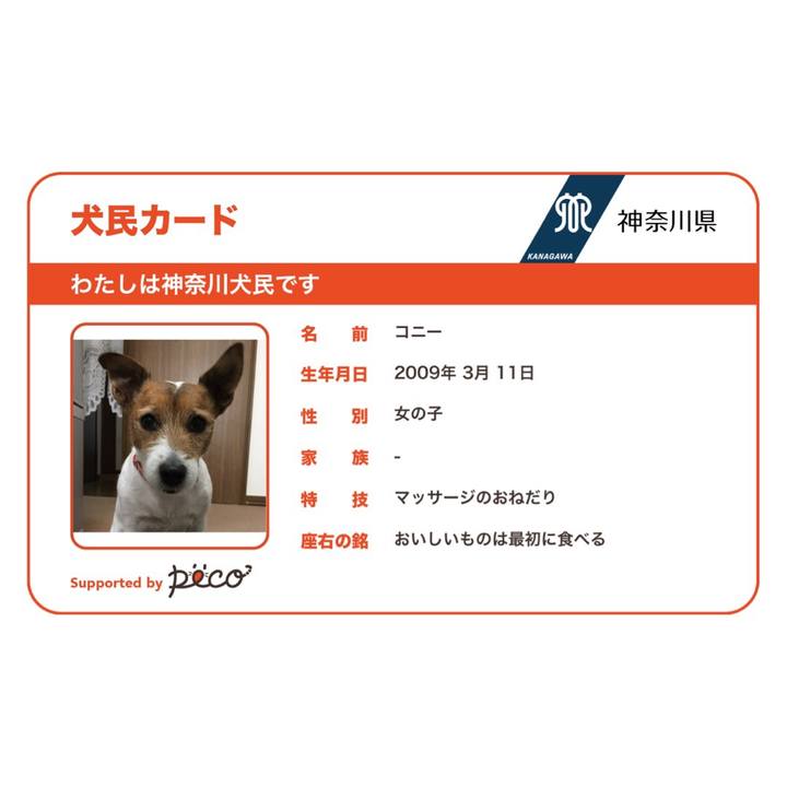 A3b80e08 a6f5 4c4c 953b a834ec75a45b 1538700361413