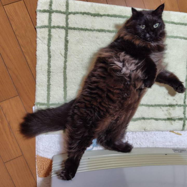 A3b8185c d164 42e5 918f 9cefbc2c467f 1737765851975