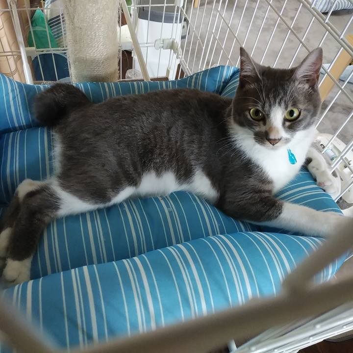 A3b81ea1 60fd 42b6 97fa 7aa5de186cec 1594597207188