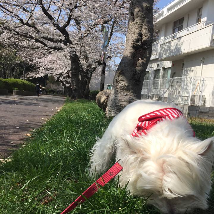 A3b825d8 beaa 4632 b819 b13a1a6b31d5 1522130478338