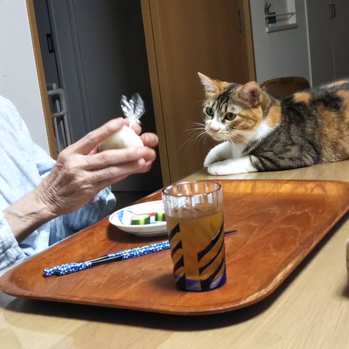 A3b82660 4976 4858 a83b 8f075db4ca26 1659719314176