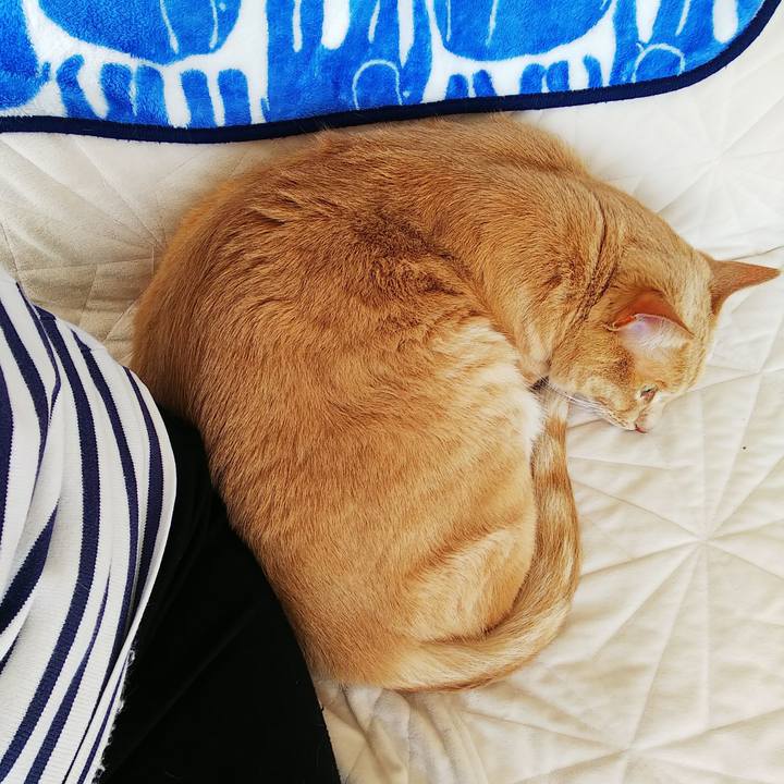 A3b84b58 0ba0 4f7d 9014 738f14d1732d 1679196826904