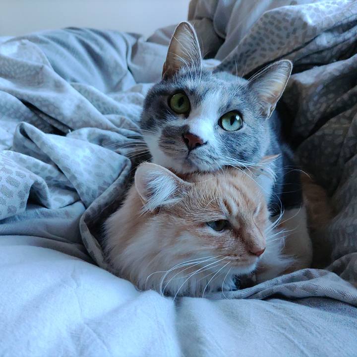 A3b8865b 4383 4523 904f 7b54d0e251ba 1706088446570