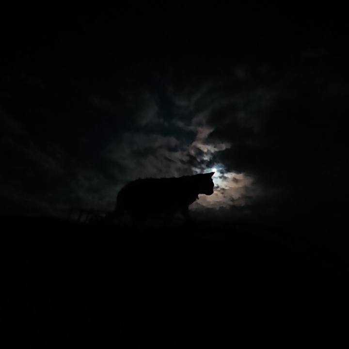 A3b88a61 8ac1 4f34 93a4 fe69e7e4986c 1601547838361