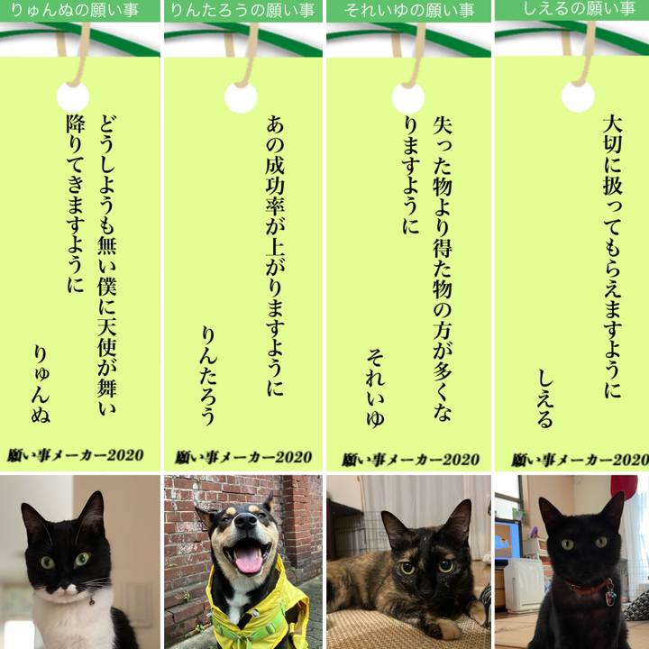 A3b89f5f 6504 429c 9aca 1e7d1b17205b 1594043598492