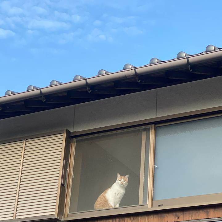 A3b8a422 5319 4435 8093 bf58ef0140b2 1639291516527