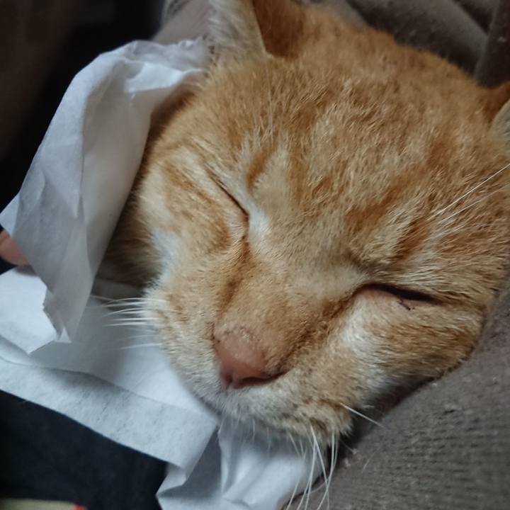 A3b8a53e 6d57 4883 ad53 910b8bb18ffd 1576097182986