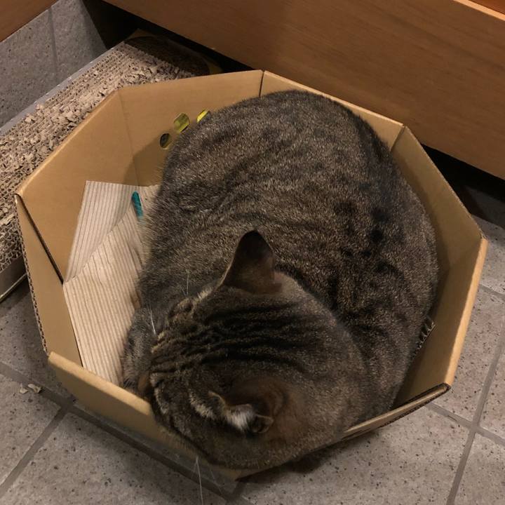 A3b8b11c 6b07 4024 b97a f28c017cc3ab 1544089024237