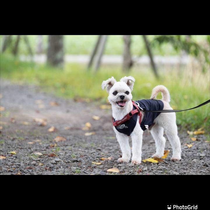 A3b8b46e d2fd 4249 a068 c4122d36507c 1663298501861