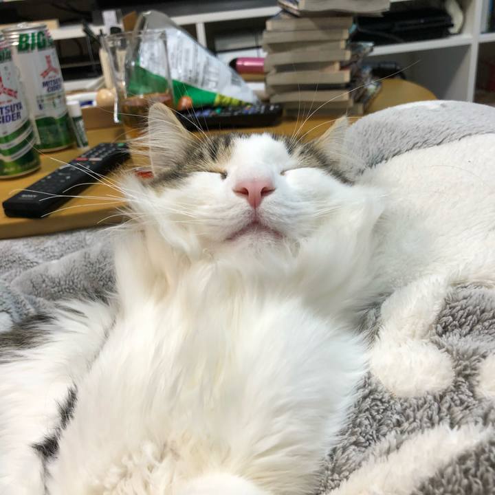 A3b8b6e8 7482 4fa8 82af d530d98c1288 1517283401671