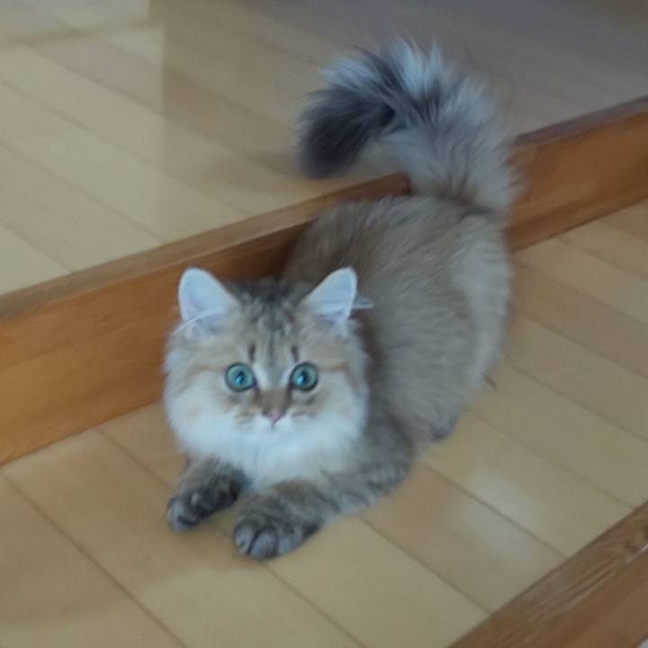 A3b8d8d7 4846 4026 b0f9 2f314497b5ba 1556752938039